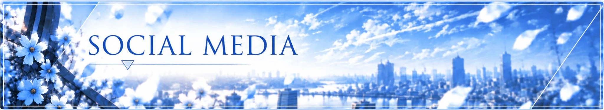 SOCIAL MEDIA